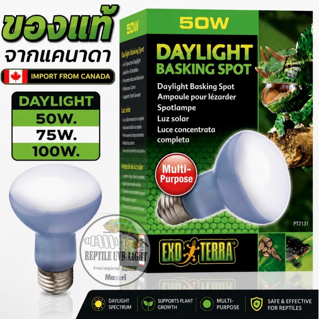 Exoterra UVA (กล่องเขียว) สำหรับสัตว์เลี้ยง รุ่นพิเศษ สเปกตั้มแสงเหมาะสมกับการเลี้ยงพืช DAYLIGHT BASKING SPOT