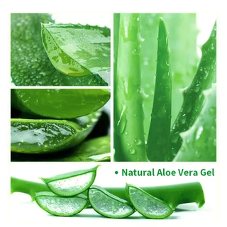 เจลว่านหางจระเข้ 99% 300g เจลอโลเวร่า สำหรับผิวแห้งแดดเผา ผ่อนคลายและให้ความชุ่มชื้นได้นาน ลดอักเสบผิว