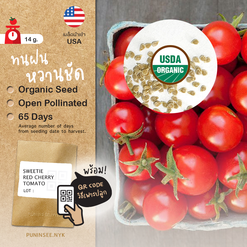 เมล็ดผักนำเข้า มะเขือเทศเชอรี่สีแดง Sweetie Red Cherry Tomato (Organic Seed) ทรงกลม ทนฝน หวานชัด