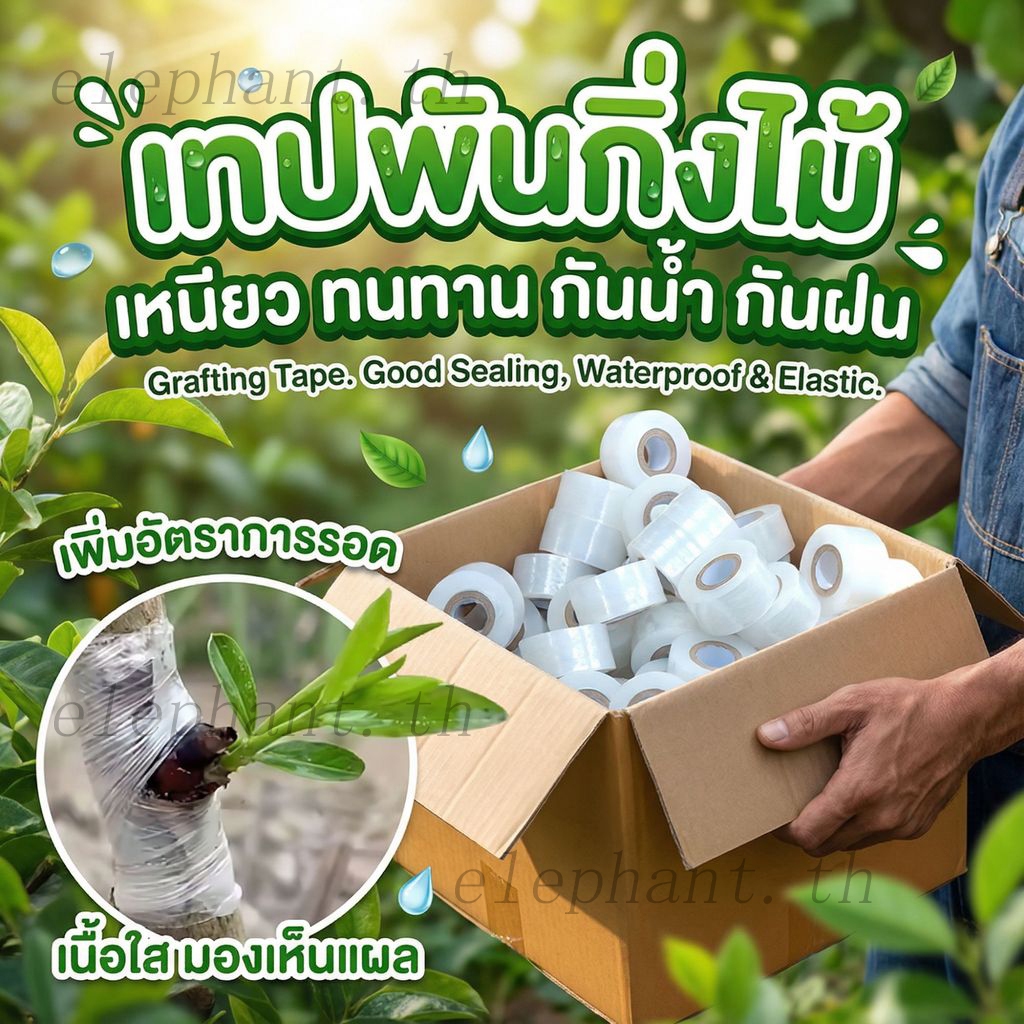 3cmx200m เทปพันกิ่งไม้ อุปกรณ์ทำสวน เทปพันตอนกิ่ง อุปกรณ์การเกษตร เทปพันกิ่งทาบ พลาสติกทาบกิ่ง เทปติดตาต้นไม้ฟิล์มยืด