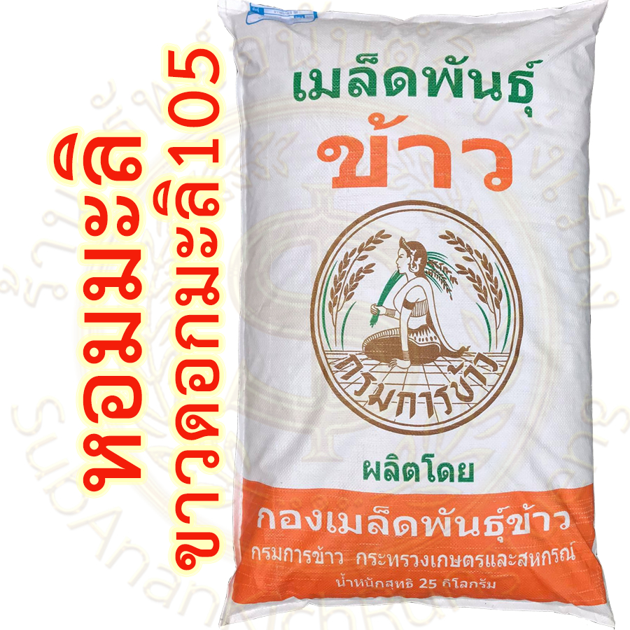 เมล็ดพันธุ์ข้าว ขาวดอกมะลิ105 กรมการข้าว