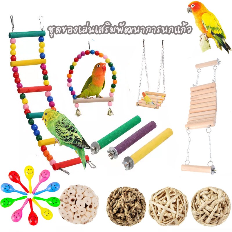 ของเล่นนก เปลญวนแขวนหลากสีสัน สำหรับนกแก้ว นกหงส์หยก นกค็อกคาเทล ที่ยืนบนก ชิงช้านก บันไดนก สะพานเเขวน