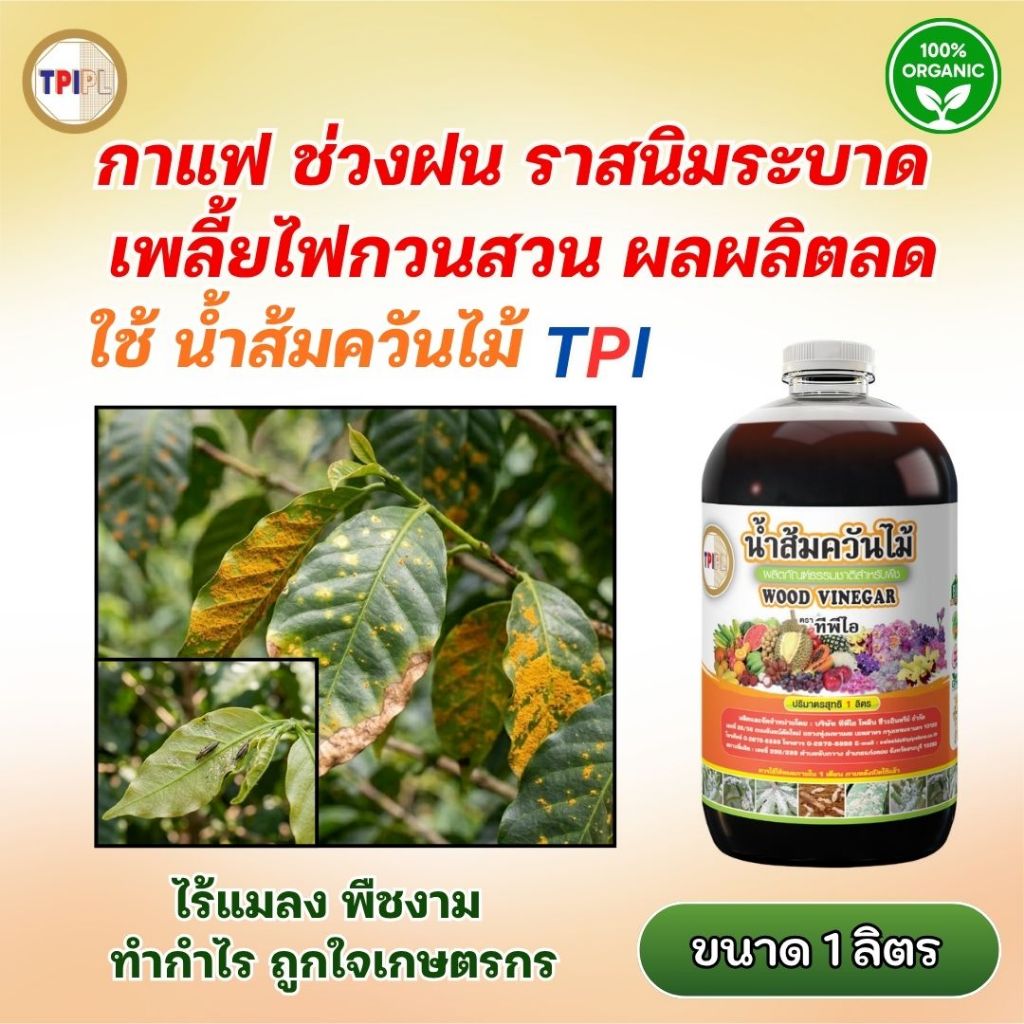 กาแฟ ช่วงฝน ราสนิมระบาด เพลี้ยไฟกวนสวน น้ำส้มควันไม้ TPI ช่วยลดปัญหา ใช้ได้ทุกระยะ  ขนาด 1 ลิตร