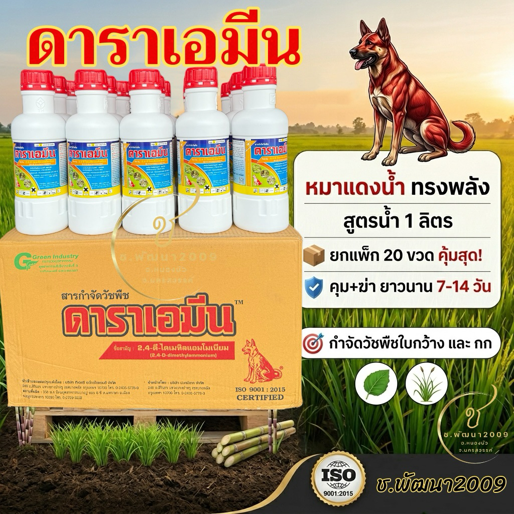💢ดาราเอมีน 1ลิตร ยกลัง 20ขวด💢 หมาแดงน้ำ 💥ผลิต03/07/2025💥ใช้หลังวัชพืชงอกในนาข้าว อ้อย ข้าวโพด