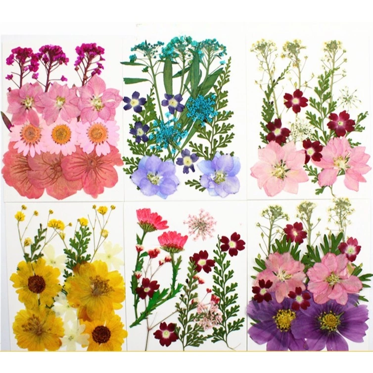 🏵🌺 15pcs แพคเกจขนาดเล็กน่ารัก 😍 ดอกไม้แห้งดอกไม้จริงบุ๊คมาร์คเรซิ่นหยดกาววัสดุ DIY