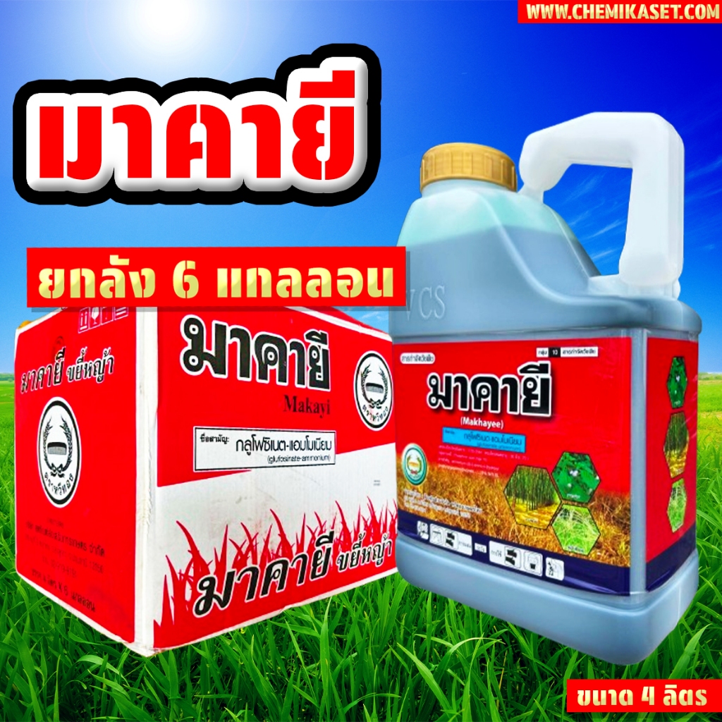 (ยกลัง6แกลลอน) มาคายี ขนาด 4 ลิตร กลูโฟซิเนต-แอมโมเนียม ตราหวีทอง กำจัดหญ้าทุกชนิด ดูดซึม เผาไหม้