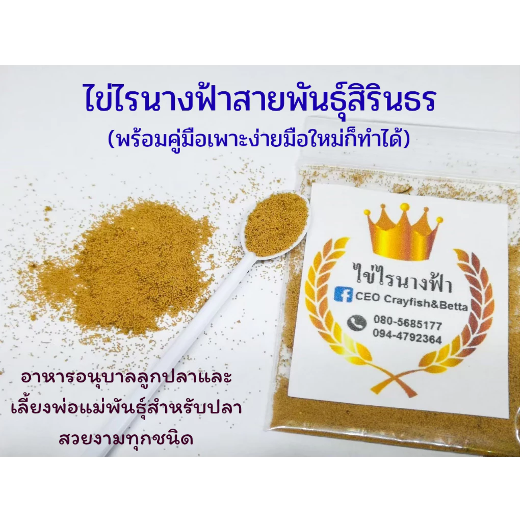 ไข่ไรนางฟ้าสิรินธรและไทย🧨​ค่าส่งถูก, ส่งทุกวัน🧨ไร​น้ำ​จืด​ อาหารสดอนุบาลลูกปลาอัตราการรอดสูง