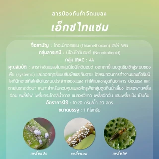เอ็กซไทแซม ตราต้นไม้ (ไทอะมีทอกแซม 25% WG) 1 กิโลกรัม