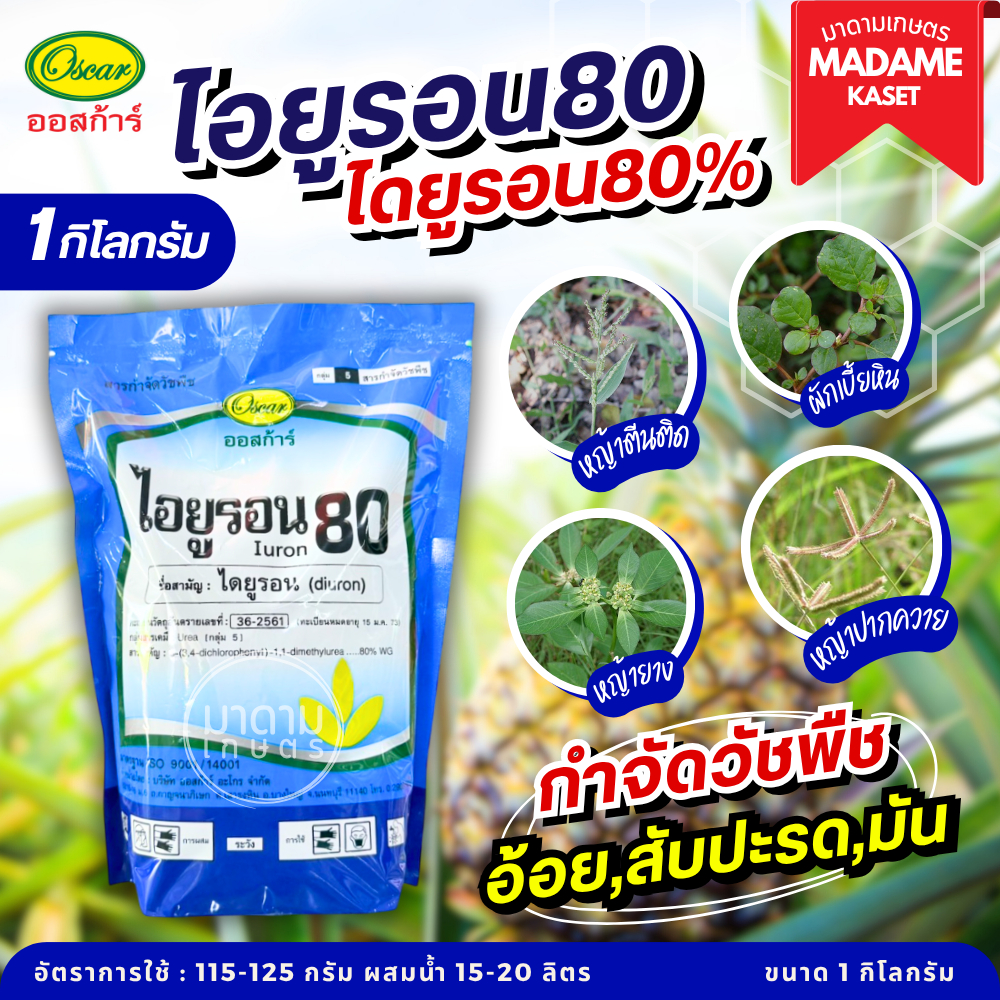 ยกลังx20 | ไอยูรอน80 ออสก้าร์ (ไดยูรอน80% WG) 1 กิโลกรัม เนื้อเกล็ด ละลายง่าย ไม่อุดตันหัวฉีด คุมฆ่าหญ้าในพืชสวน สับปะรด