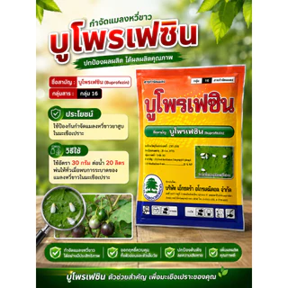 บูโพรเฟซิน ขนาด 1 กิโลกรัม ใช้ป้องกันกำจัดแมลงหวี่ในมะเขือเปราะ กำจัดศัตรูพืช