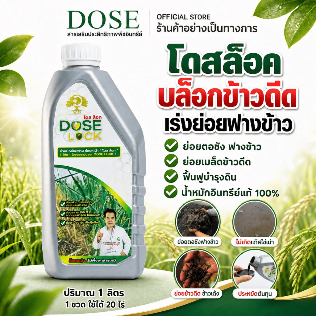 [ร้านค้าบริษัท]โดสล็อค กำจัดข้าวดีดข้าวเด้ง ย่อยฟางข้าว ฟื้นฟูบำรุงดิน รับประกันเห็นผล  (ส่งไว)