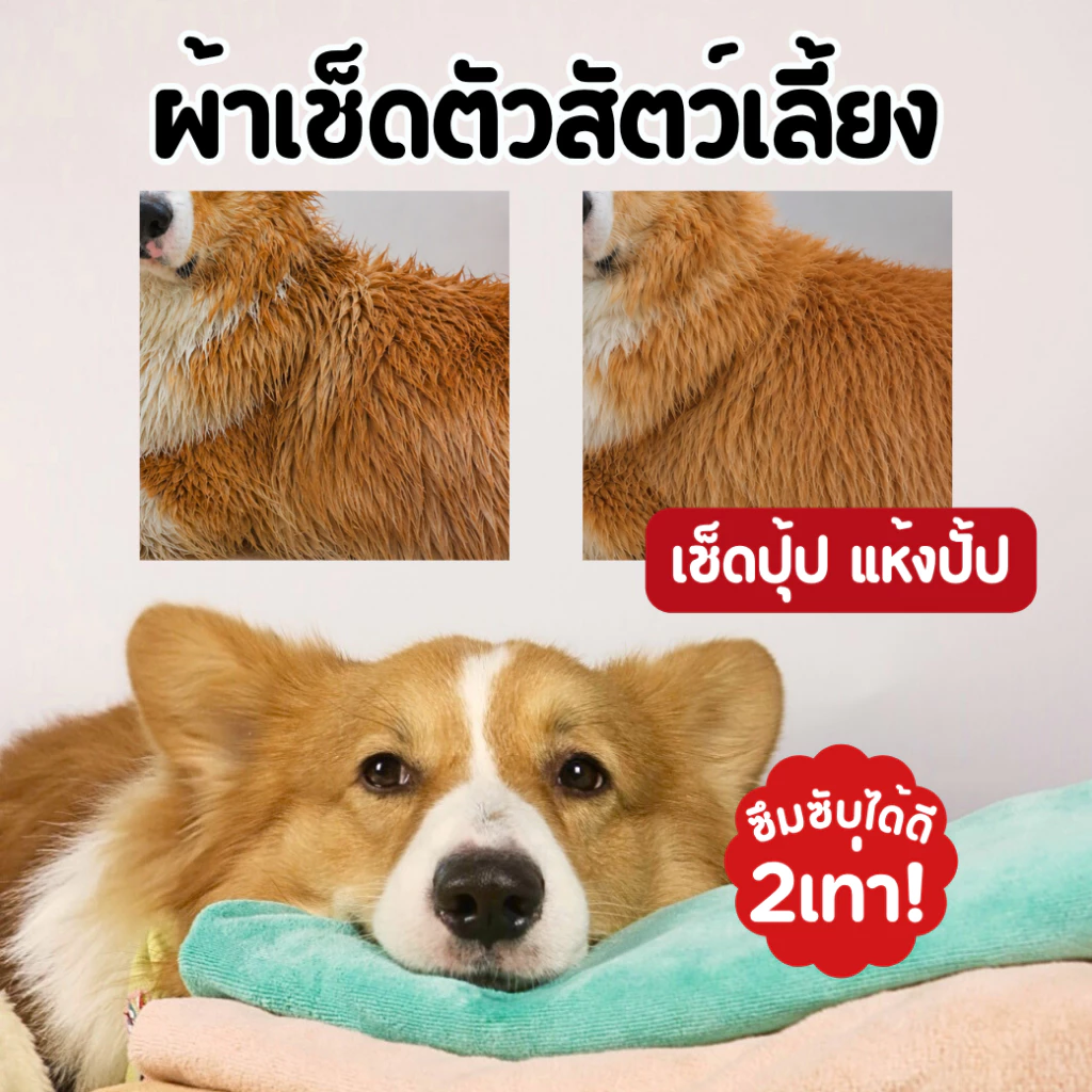 ผ้าเช็ดตัวแมวหมา ซึมซับน้ำดีเยี่ยม แห้งง่ายแห้งไว นุ่มสบาย ผ้าเช็ดตัวสัตว์เลี้ยงหมาแมว
