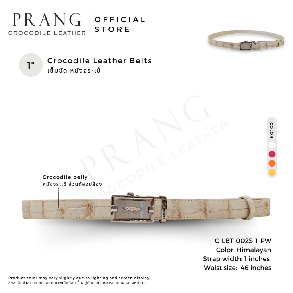 Prang Crocodile Leather Lady Belt เข็มขัดหนังจระเข้ เข็มขัดผู้หญิง C-LBT-002S-1-PWY Belly หนังท้อง