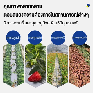 พลาสติกคลุมดิน ผสมUV พลาสติกดำเงิน กันวัชพืช สำหรับปลูกผักและผลไม้ COD จ่ายปลายทาง ขนาด 0.8ม. x 400หลา (360ม.)