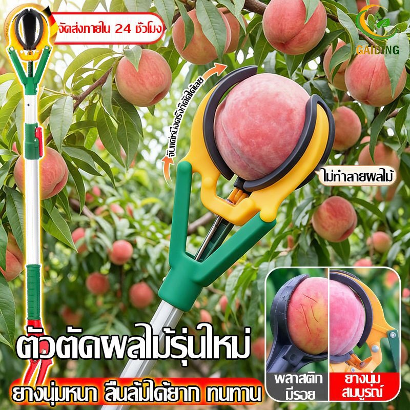 GAIDING【2026ตัวตัดผลไม้รุ่นใหม่】ตะกร้อสอยผลไมั ไม้ สอยผลไม้ ไม่ทำลายผลไม้ มืออาชีพ ไม้ ไม้สอยมะม่วง ไม้สอยมะม่ว ยืดหดได้