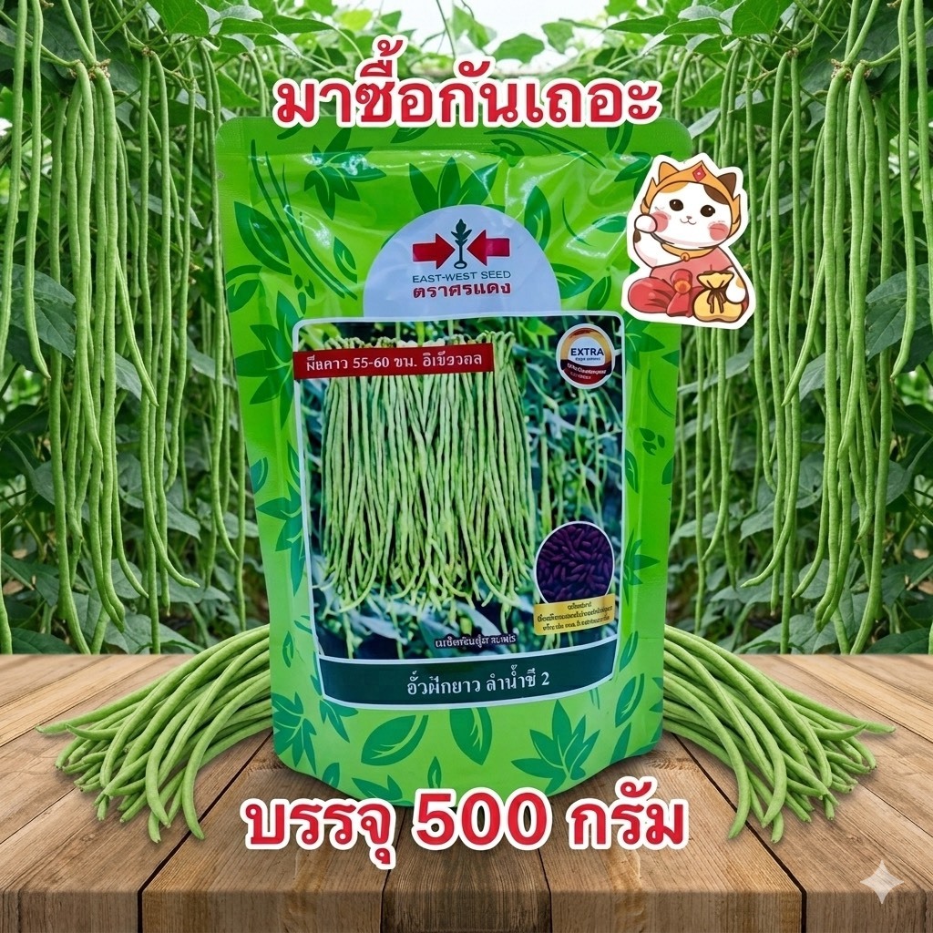 ลำน้ำชี 2 เมล็ดพันธุ์ถั่วฝักยาว ตราศรแดง ถั่วเนื้อ (สิ้นอายุ08/70) บรรจุ500กรัม/ถุง