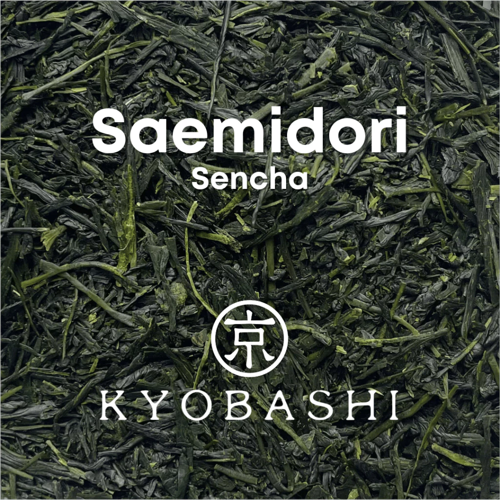 KYOBASHI - SENCHA Saemidori Sencha ชาเขียว เซนฉะ สายพันธุ์สะเอะมิโดะริ