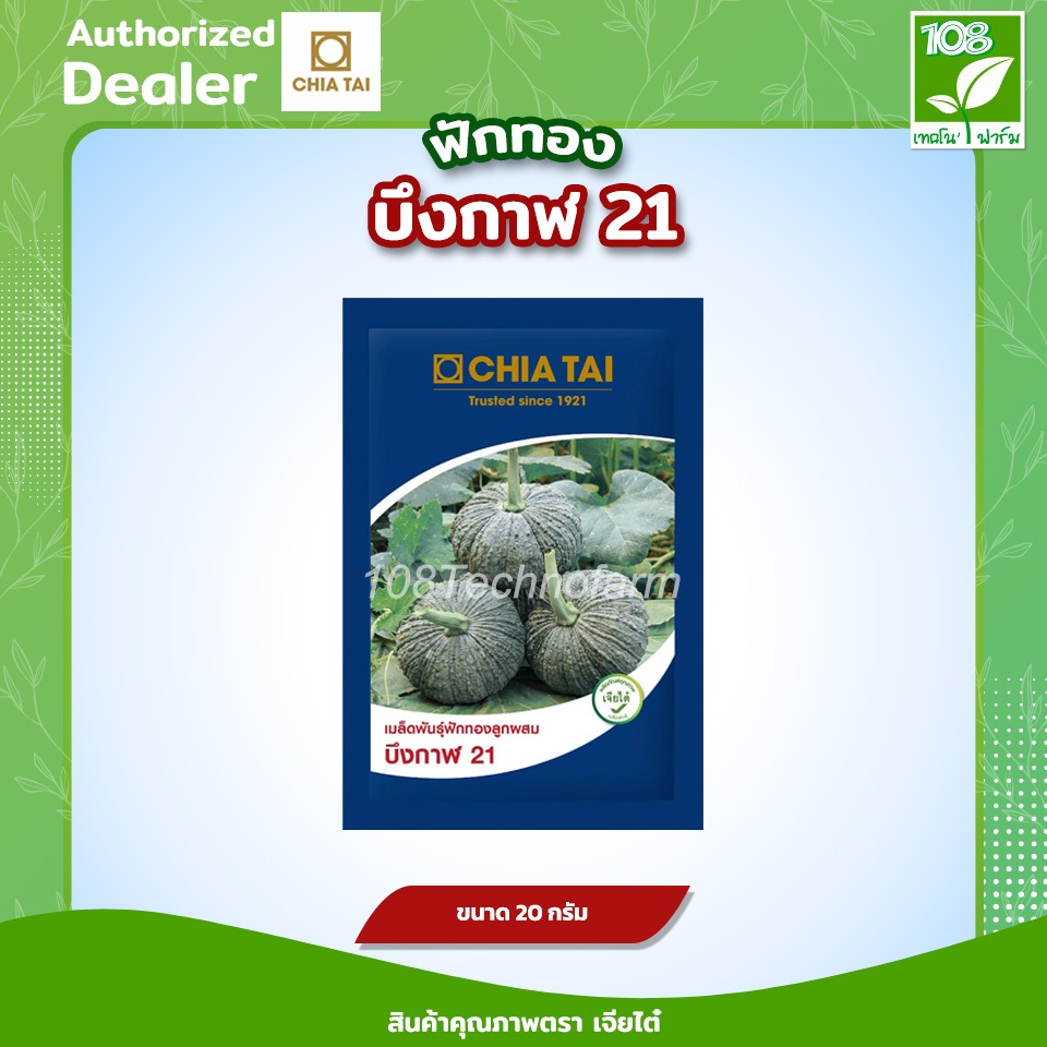 เมล็ดพันธุ์ ฟักทอง บึงกาฬ 21 ตราเจียไต๋ ( 20 กรัม )
