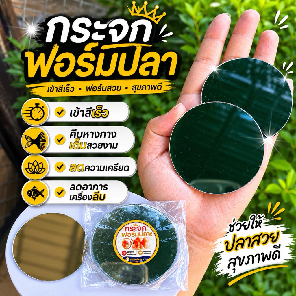 (ชุด12ชิ้น)กระจกฟอร์มปลา วงกลมขนาด6.5cm.
