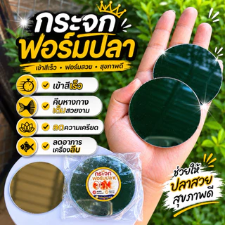 (ชุด12ชิ้น)กระจกฟอร์มปลา วงกลมขนาด6.5cm.
