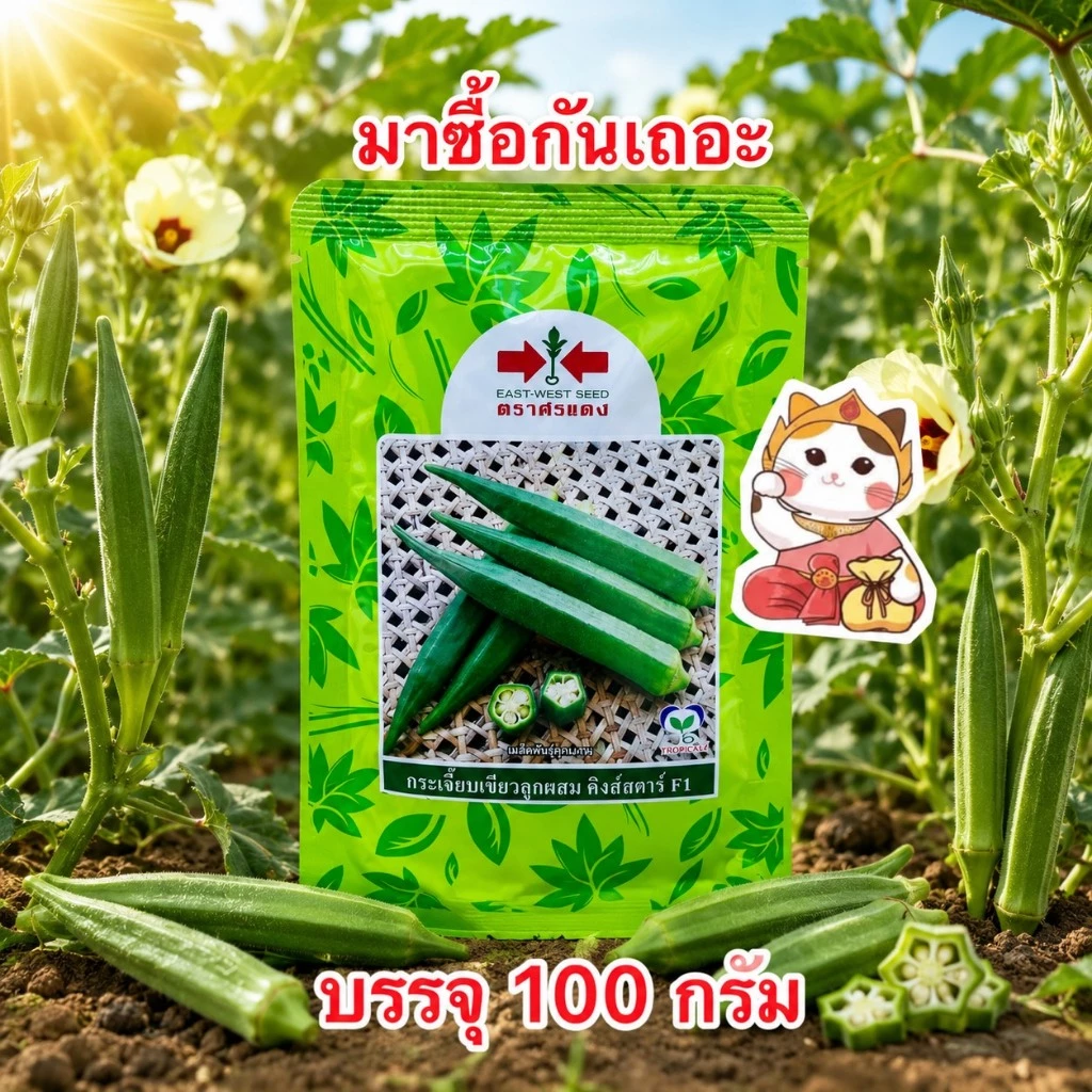 กระเจี๊ยบเขียว คิงส์สตาร์ เมล็ดพันธุ์กระเจี๊ยบเขียว ตราศรแดง(สิ้นอายุ01/71) บรรจุ 100 กรัม