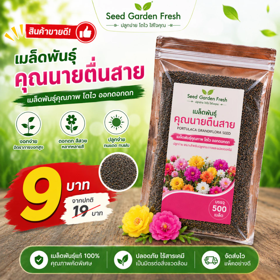 เมล็ดพันธุ์คุณนายตื่นสายกลีบซ้อนคละสี บรรจุ 500 เมล็ด