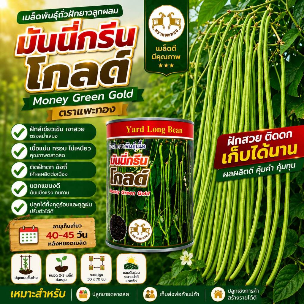 เมล็ดพันธุ์ถั่วฝักยาวมันนี่กรีนโกลด์ ขนาด 500 กรัม