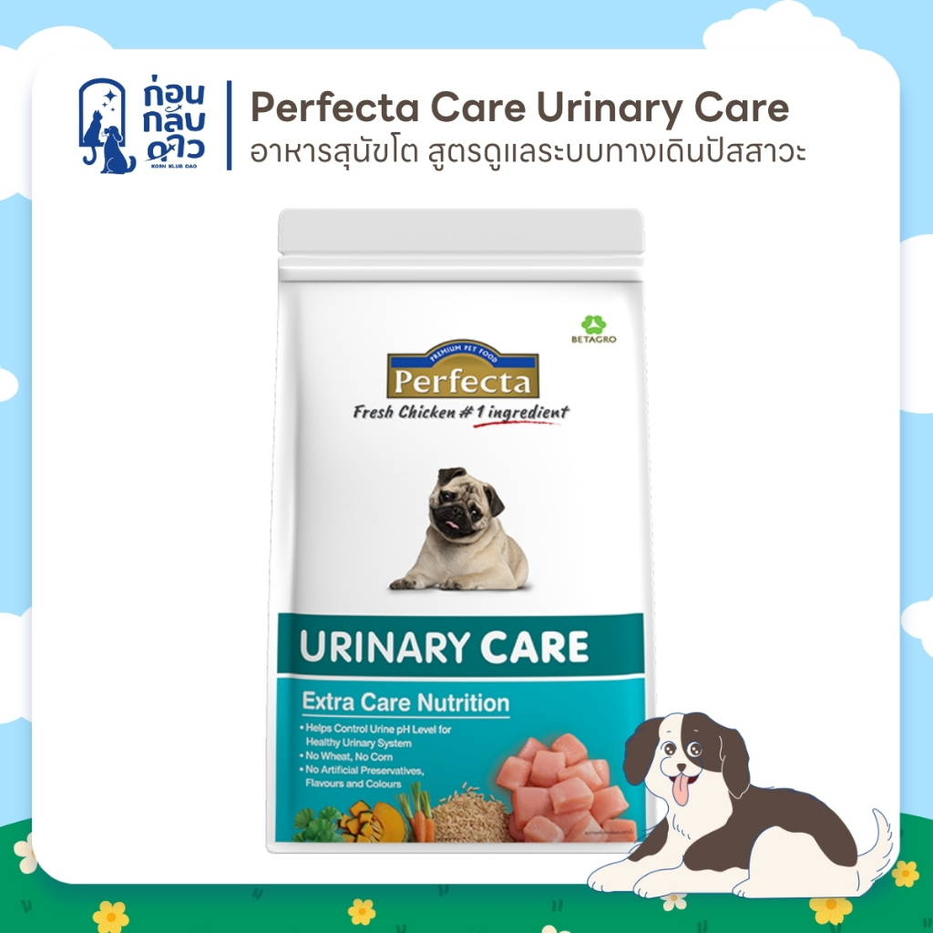 Perfecta Urinary Care อาหารเม็ดสำหรับสุนัขโต สูตรดูแลระบบทางเดินปัสสาวะ