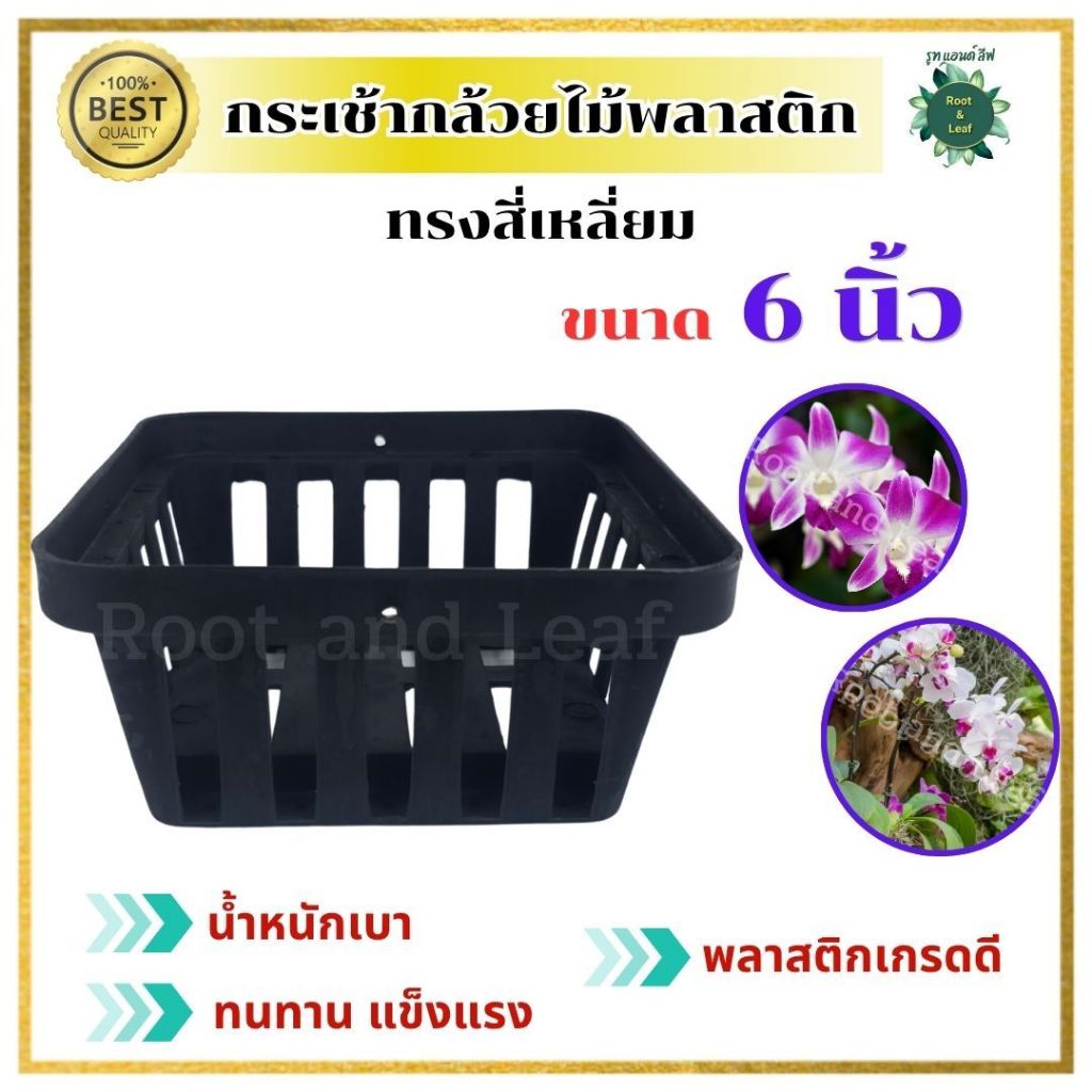 กระเช้ากล้วยไม้พลาสติก ทรงสี่เหลี่ยม ขนาด 6 นิ้ว พลาสติกเกรดดี น้ำหนักเบา มีรูสำหรับแขวน ทนแดดทนฝน แขวนสวย