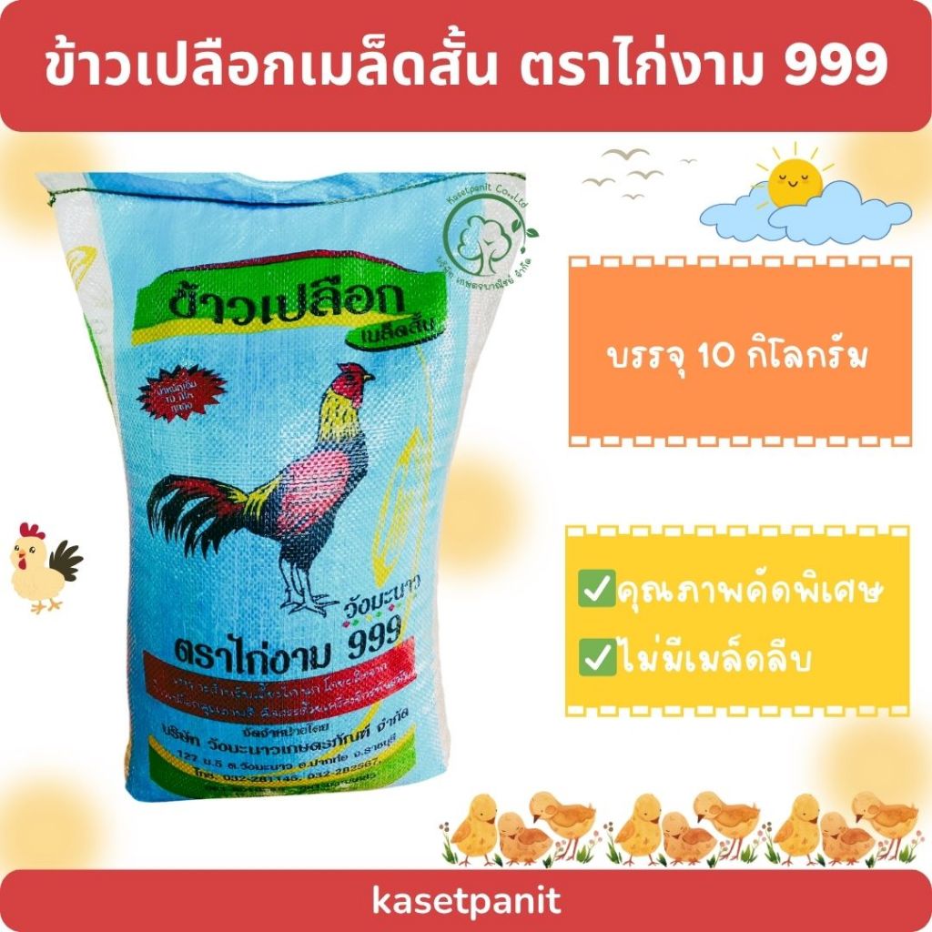 ข้าวเปลือกเมล็ดสั้น ตราไก่งาม 999 ขนาด 10 กิโลกรัม