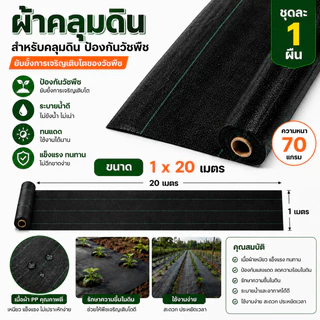 ผ้าคลุมดินกำจัดวัชพืช ผ้าคลุมดินป้องกันวัชพืช ผ้าคลุม ดิน กําจัด วัชพืช หนา 70 แกรม Ground cover fabric for weed contro