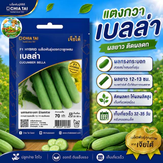 รวมผักเจียไต๋ ผักซองอีซี่ F1 ผักซอง 40 กว่าชนิด เมล็ดพันธุ์คุณภาพดี ปลูกง่าย โตไว #เจียไต๋