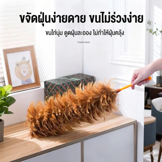 HB ไม้ปัดฝุ่นขนไก่ ทำด้วยมือ (พร้อมตะขอ) ขนคุณภาพสูง ไม่ร่วงง่าย น้ำหนักเบา พกพาสะดวก และจัดเก็บง่าย /เหมาะสำหรับตกแต่งบ