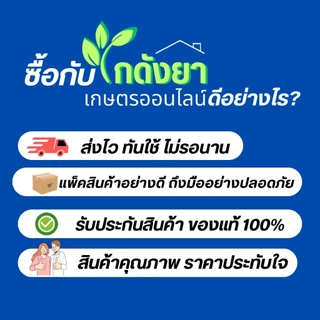 [ไทอะมีทอกแซม] สตาร์แซม 1 กิโลกรัม ตรา แมมมอธแดง SPKG กำจัดแมลงได้รวดเร็ว
