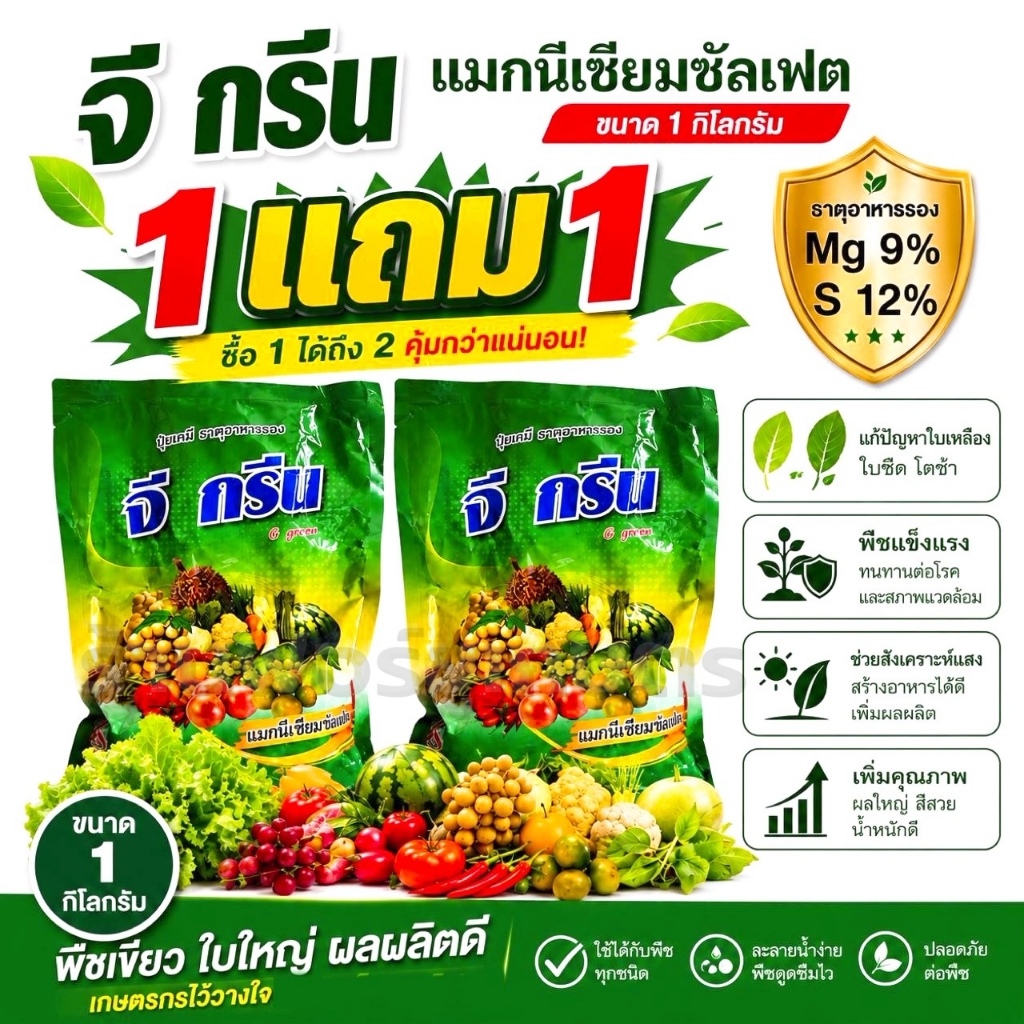 1 แถม 1 (ขนาด 1 กิโลกรัม) จี กรีน แมกนีเซียม+กำมะถัน บำรุงต้นและใบ ใบเหลือง พืชใบเขียว