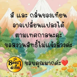 🪔 30 เทียนกลิ่นหอม บูชาเทพที่รักเคารพ🌬️มนต์เสน่ห์กลิ่นที่มากกว่าความหอม🧞ใช้เพื่อการบูชาและรวมไปถึงในการรักษา