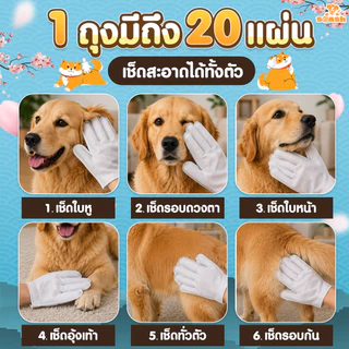 ถุงมืออาบน้ำสัตว์เลี้ยง ปราศจากแอลกอฮอล์ SP551