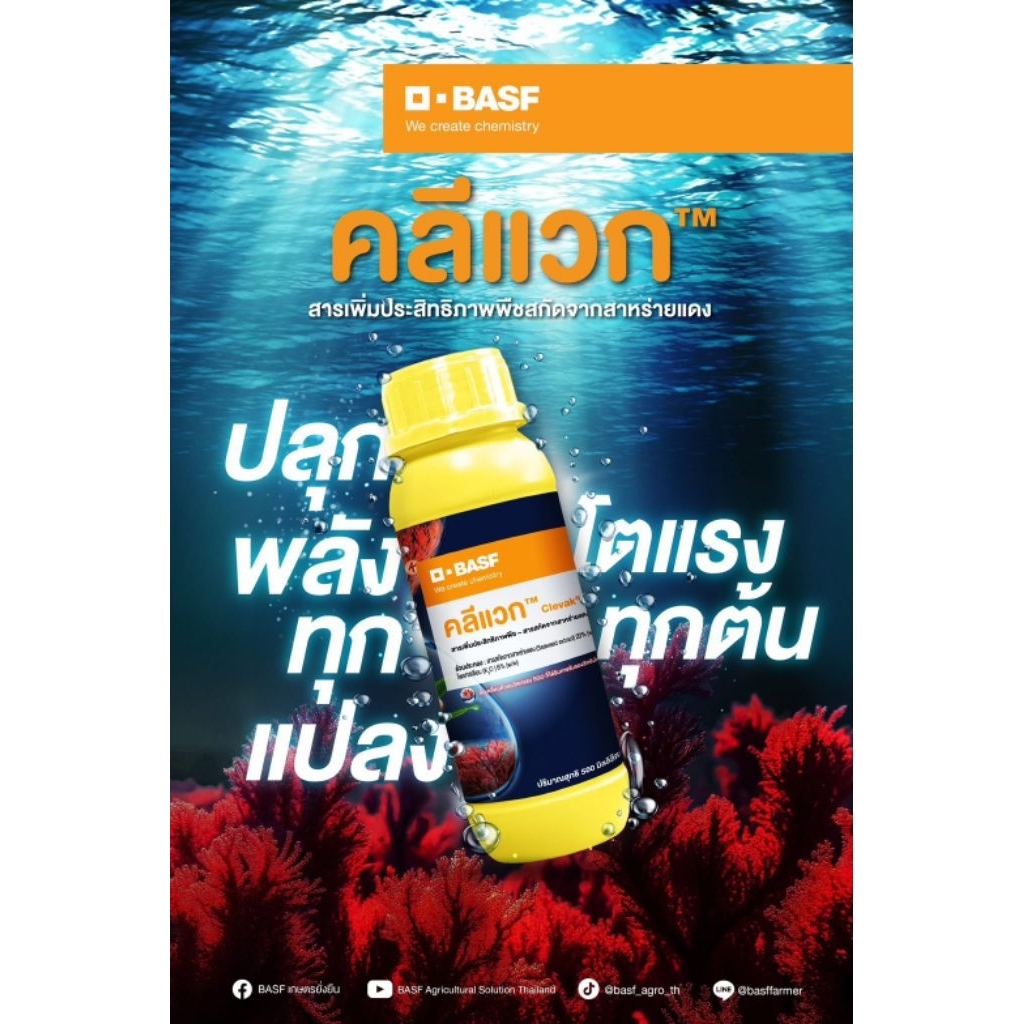 คลีแวก™ (ขนาด 500 ซีซี) ใช้ได้ 10 ไร่ชื่อสามัญ : ฮอร์โมนพืชสกัดจากสาหร่ายแดง