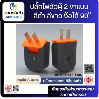 ปลั๊กไฟตัวผู้ 2 ขา 16A 250V งอได้ 90° หัวปลั๊กไฟ ปลั๊กตัวผู้พับได้ สีดำ สีขาว ใช้งานทั่วไป