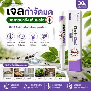 🐜พร้อมส่ง🐜Ant Gel เจลกำจัดมด กำจัดถึงรัง เห็นผลไว ปลอดภัย ใช้งานง่าย เจลล่อมด มดกินแล้วตายยกรัง ใช้ได้ทั้งบ้าน