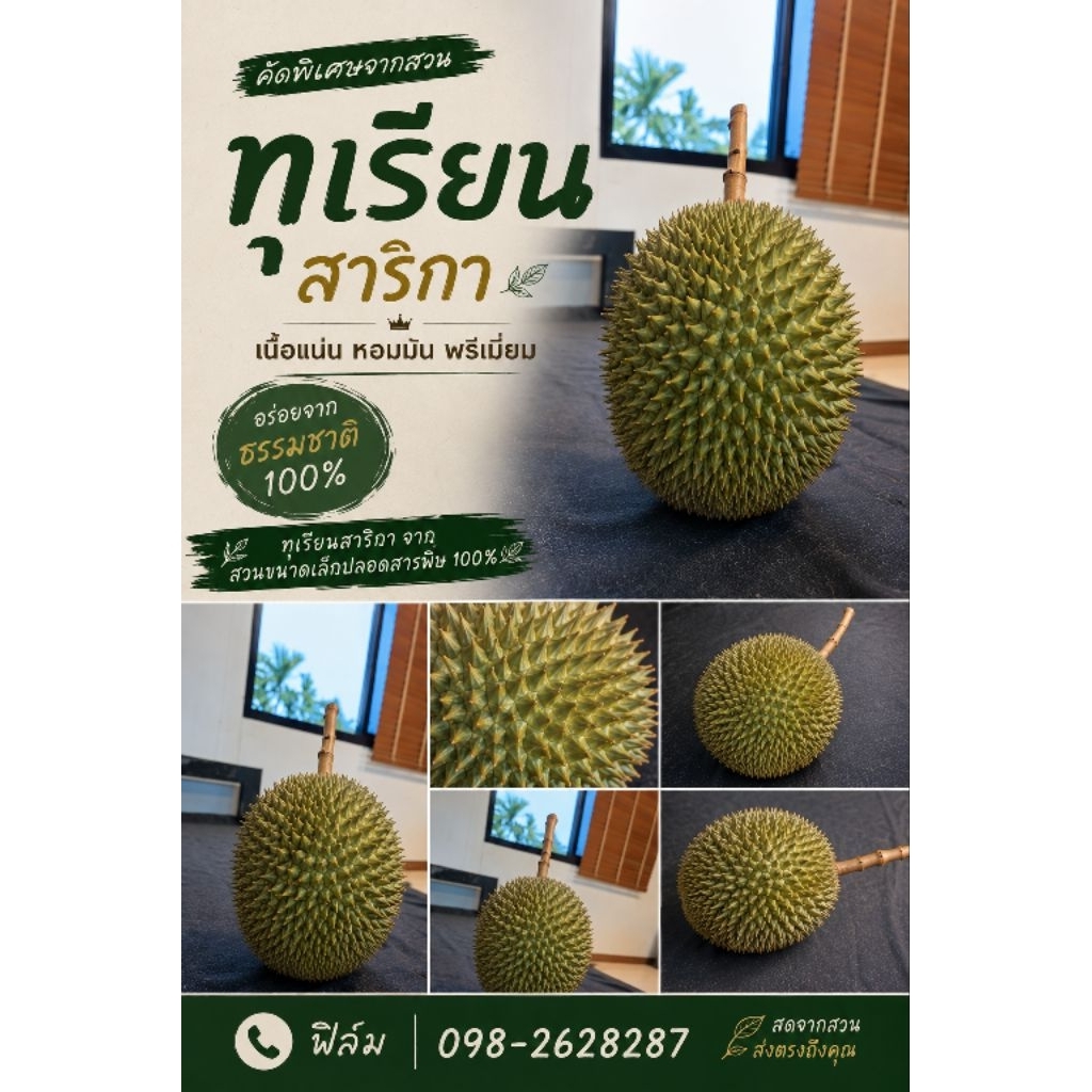 ผลราชาทุเรียนบ้าน สาริกาพังงา ลูกละ 1.1-1.5 ก.ก ออแกนิกเกรด ปลอดสารเคมีทุกชนิด100% มีให้ทานเพียงปีละ1ครั่ง