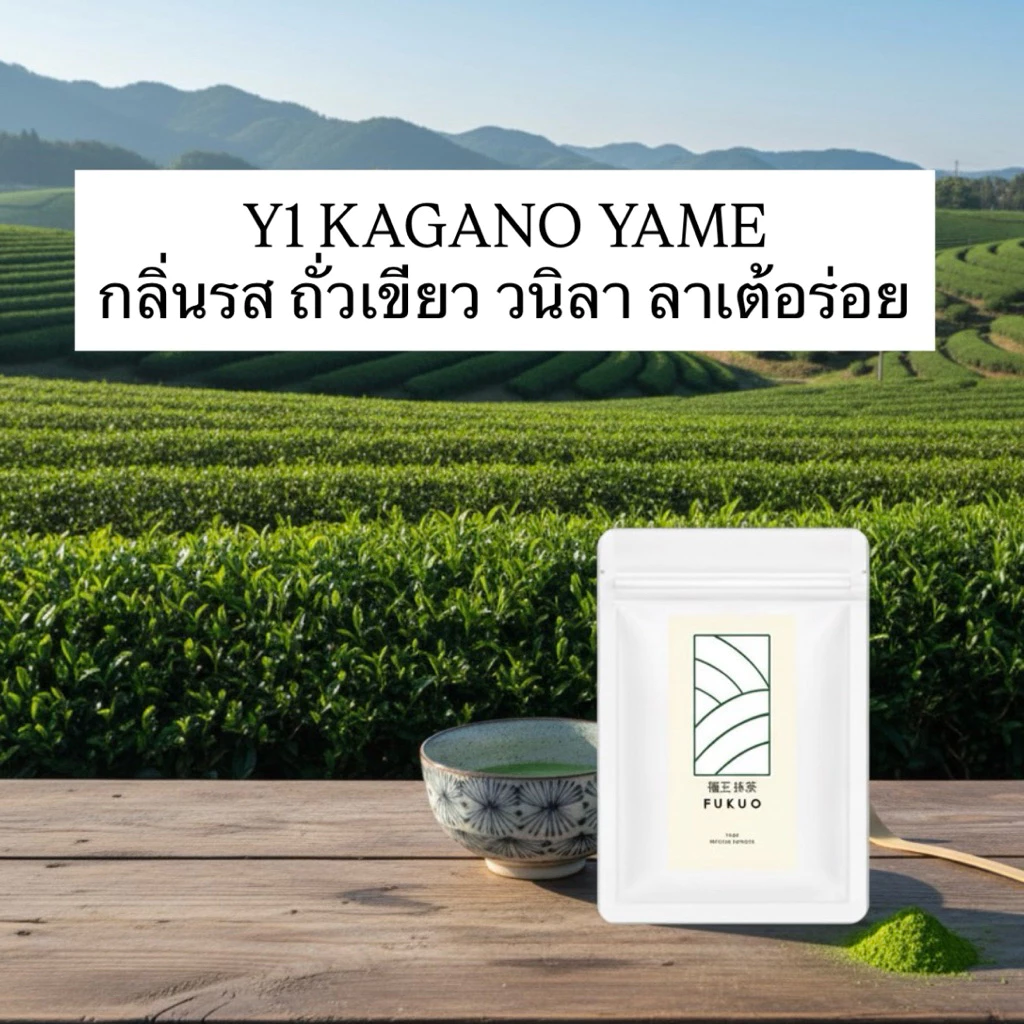 มัทฉะ Matcha Fukuo Y1 Premium Matcha มัทฉะ โทนถั่ว จากญี่ปุ่น 🇯🇵 ของแท้