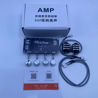 ZK-AMP2Gแก้เสียงดรอปของแท้ระบบDSPเสียงใสเอฟเฟคแท้