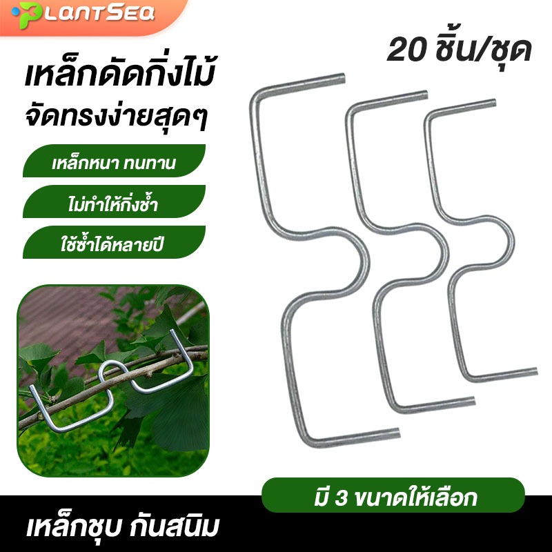 (20 ชิ้น) ตัวดึงกิ่งไม้ M-Type สแตนเลส อุปกรณ์ดัดกิ่งผลไม้ ช่วยกระจายกิ่ง เพิ่มผลผลิต สำหรับบอนไซและสวนผลไม้