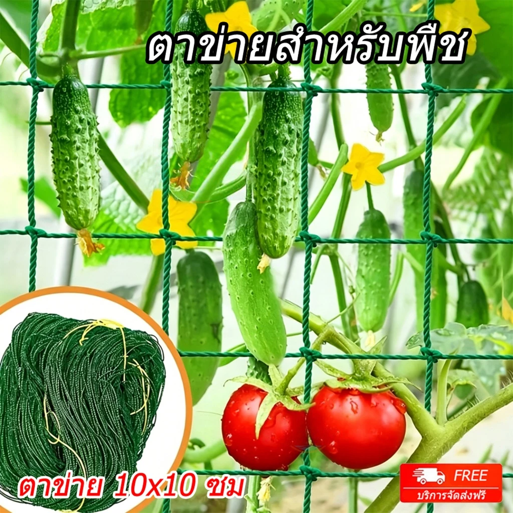 ตาข่ายปลูกผัก โครงไม้เลื้อย อวนแตง ตาข่ายบวบ ตาข่ายไม้เลื้อย ทนทาน