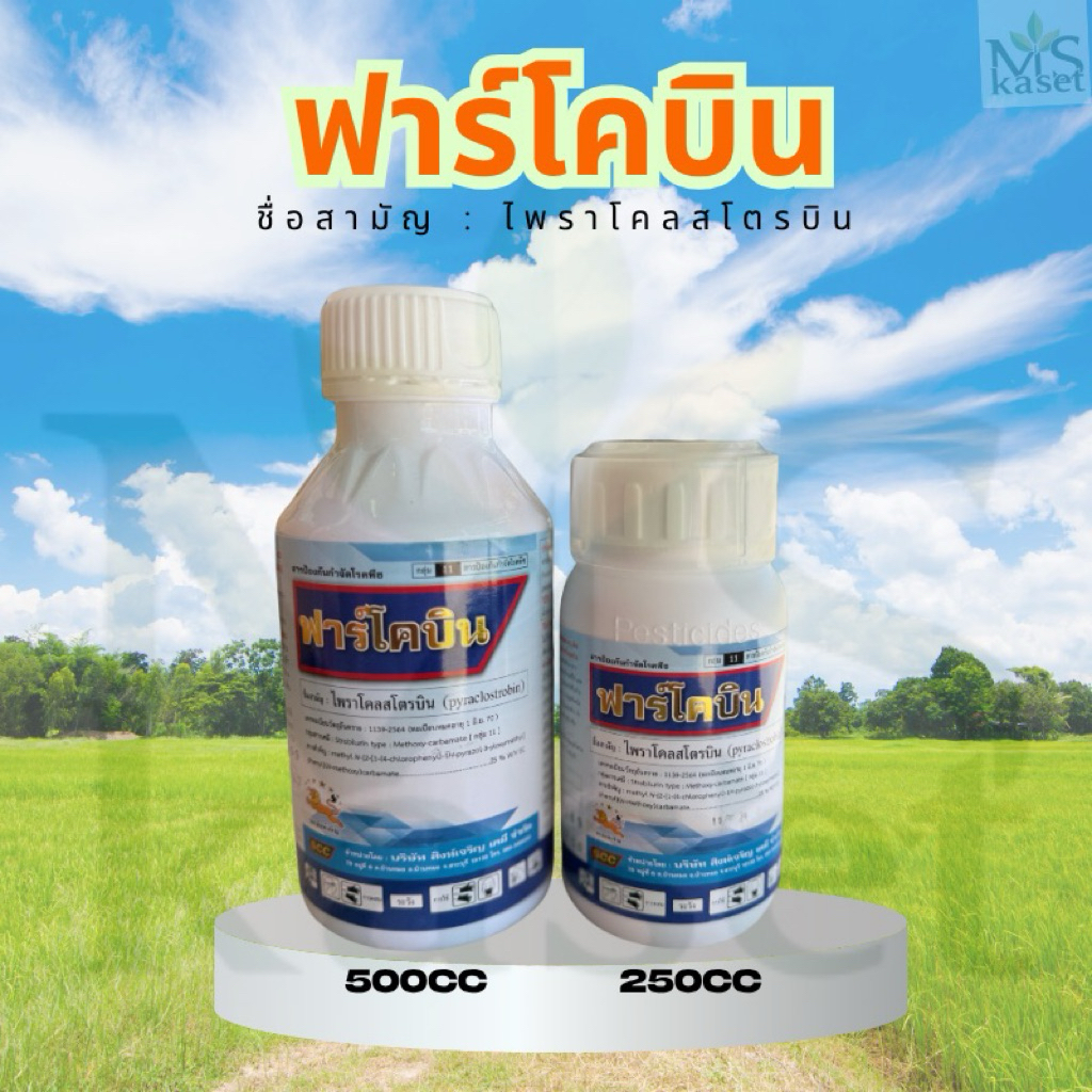 ฟาร์โคบิน คือสารไพราโคลสโตรบิน ป้องกันกำจัดโรคที่เกิดจากเชื้อราในข้าวโรคเมล็ดด่างโรคใบจุดสีน้ำตาล โรคกาบใบแห้ง