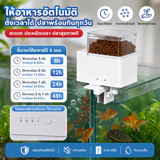 พร้อมส่ง! เครื่องให้อาหารปลาอัตโนมัติ ⏳ ตั้งเวลาได้ ✅ น้ำหนักเบา ใช้งานง่าย 🐠 เหมาะสำหรับตู้ปลา