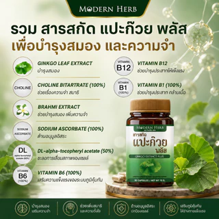 Modern Herb Ginkgo Extract Plus สารสกัดแปะก๊วย