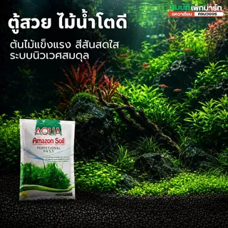ดินปลูกไม้น้ำ Amazon soil ขนาด 1/3/9kg ใช้สำหรับปลูกพรรณไม้น้ำ ช่วยปรับค่าph มีสารอาหาร แร่ธาตุต่างๆ