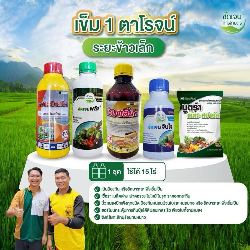 ชุดตาโรจน์ เข็ม1 ครบจบในชุดระยะข้าวเล็ก45 วัน 1 ชุด 15ไร่ (ชัดเจนการเกษตร)